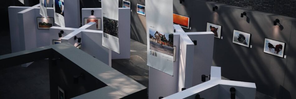 wang xi 490257 unsplash (1)